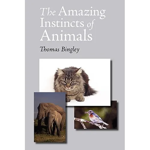 The Amazing Instincts of Animals - Paperback