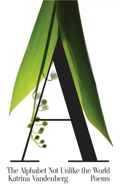 The Alphabet Not Unlike the World - Paperback