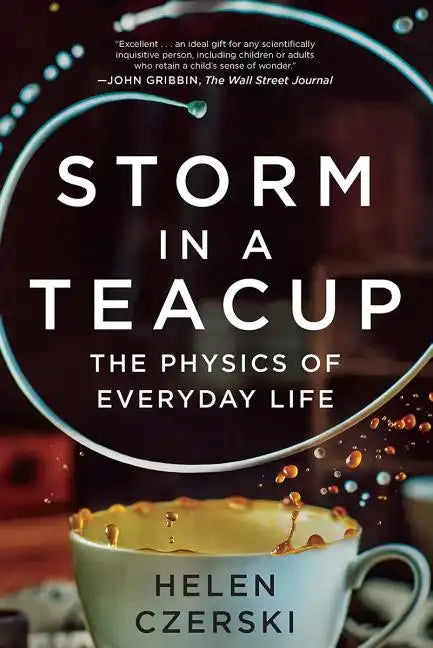 Storm in a Teacup: The Physics of Everyday Life - Paperback
