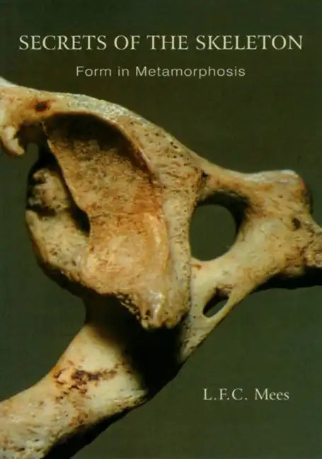 Secrets of the Skeleton: Form in Metamorphosis - Paperback