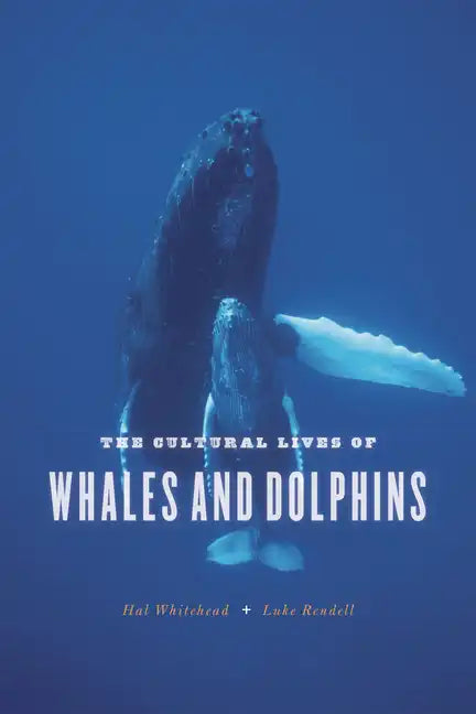 The Cultural Lives of Whales and Dolphins - Paperback