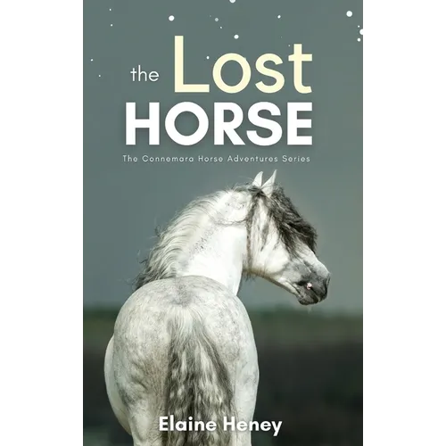 The Lost Horse - Book 6 in the Connemara Horse Adventure Series for Kids The Perfect Gift for Children - Hardcover