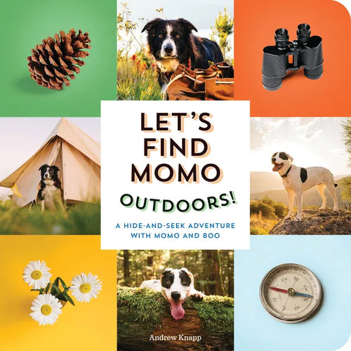 Let's Find Momo Outdoors!: A Hide-And-Seek Adventure with Momo and Boo - Board Book