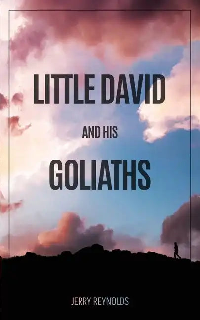 Little David and Goliaths - Paperback