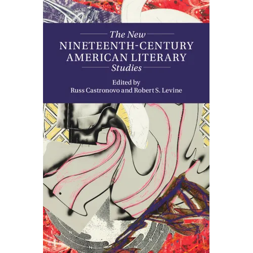 The New Nineteenth-Century American Literary Studies - Hardcover