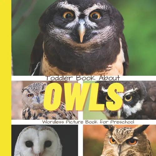 Toddler Book About Owls: A Picture Book for Preschoolers - Paperback