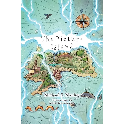 The Picture Island - Paperback