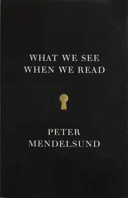 What We See When We Read - Paperback