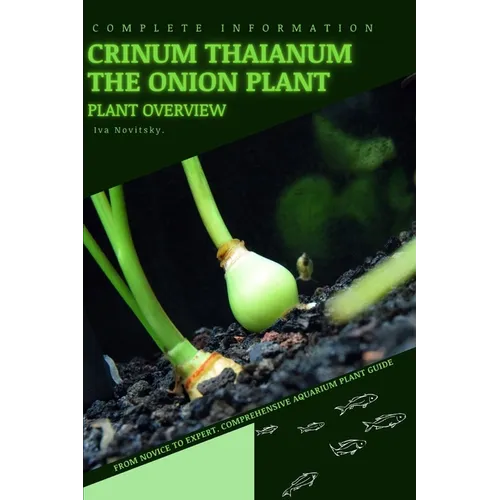 Crinum Thaianum The Onion Plant: From Novice to Expert. Comprehensive Aquarium Plants Guide - Paperback
