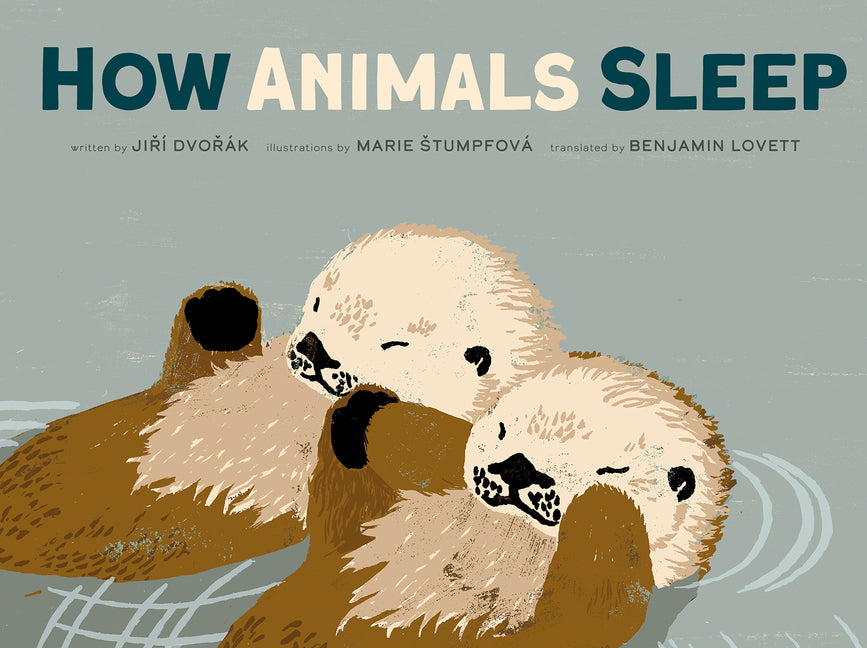 How Animals Sleep - Hardcover