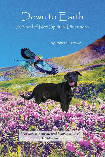 Down to Earth - Paperback
