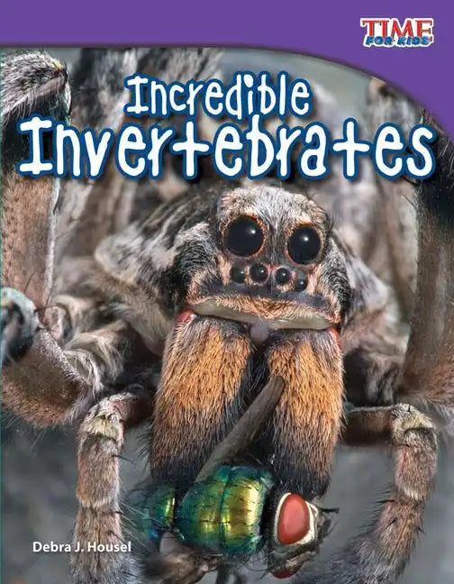 Incredible Invertebrates - Paperback