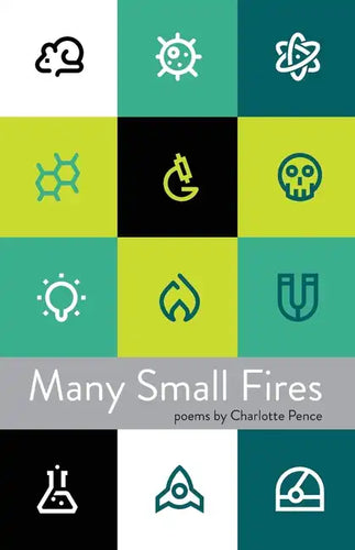 Many Small Fires - Paperback