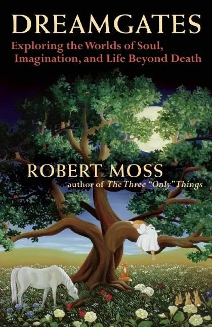 Dreamgates: Exploring the Worlds of Soul, Imagination, and Life Beyond Death - Paperback