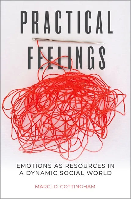 Practical Feelings: Emotions as Resources in a Dynamic Social World - Paperback
