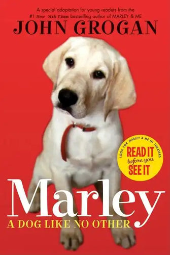 Marley: A Dog Like No Other - Paperback