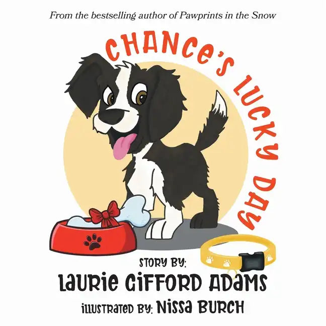 Chance's Lucky Day - Paperback
