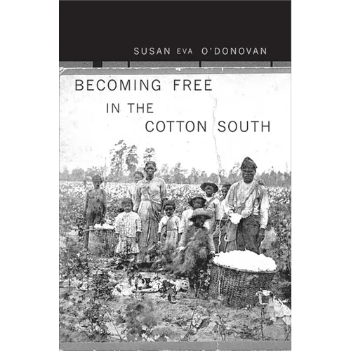 Becoming Free in the Cotton South - Paperback