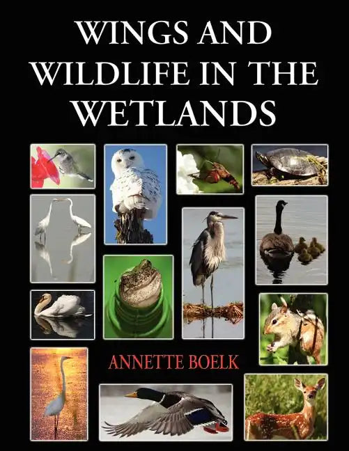 Wings and Wildlife in the Wetlands - Paperback