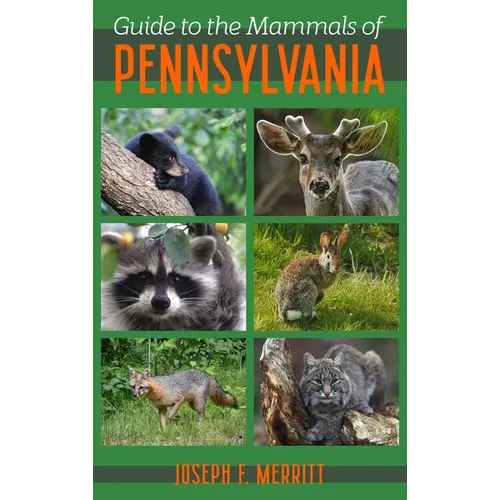 Guide to the Mammals of Pennsylvania - Paperback