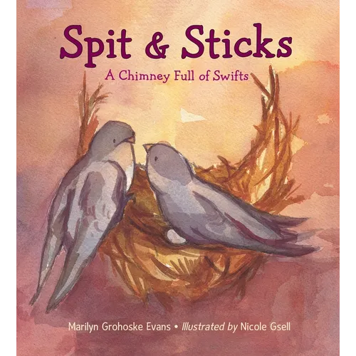 Spit & Sticks: A Chimney Full of Swifts - Hardcover