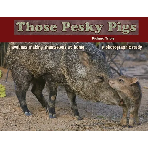 Those Pesky Pigs: Javelinas making themselves at home A photographic study - Paperback