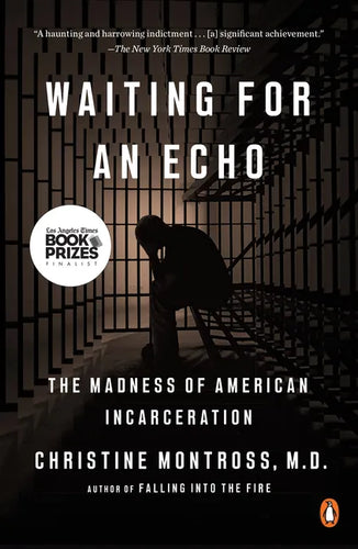 Waiting for an Echo: The Madness of American Incarceration - Paperback