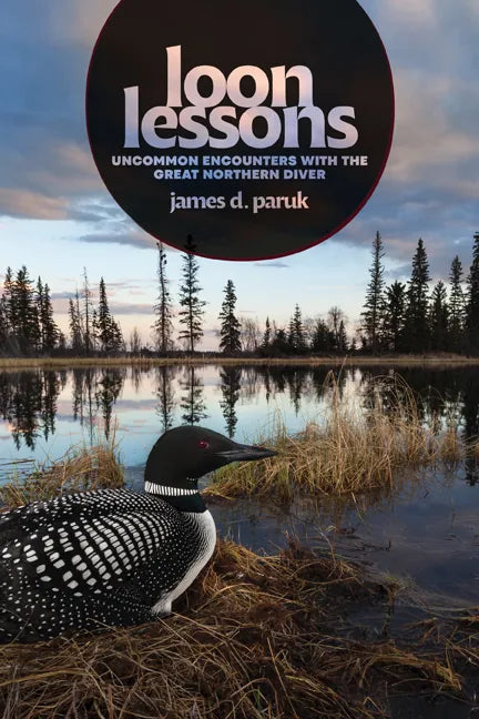 Loon Lessons: Uncommon Encounters with the Great Northern Diver - Hardcover