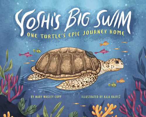 Yoshi's Big Swim: One Turtle's Epic Journey Home - Hardcover