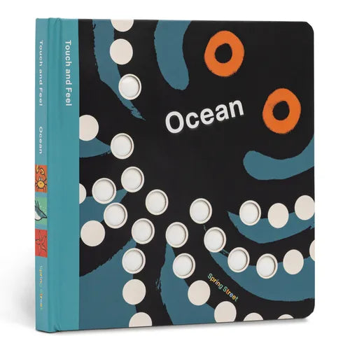 Spring Street Touch and Feel: Ocean - Board Book