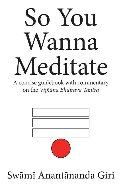 So You Wanna Meditate: A concise guidebook with commentary on the Vijnana Bhairava Tantra - Paperback