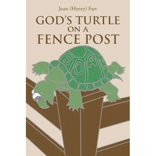 God's Turtle on a Fence Post - Paperback