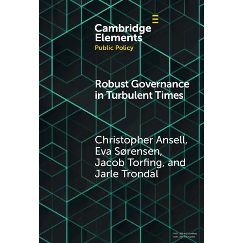 Robust Governance in Turbulent Times - Hardcover