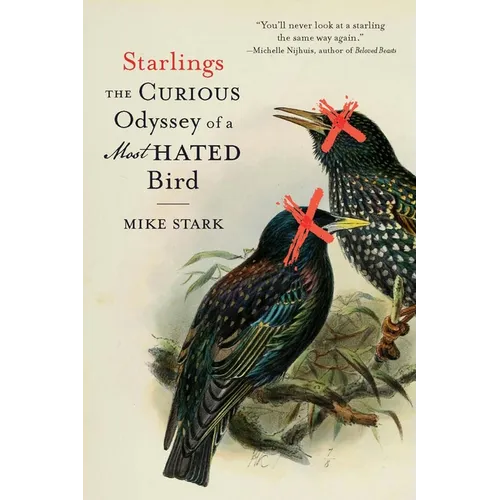 Starlings: The Curious Odyssey of a Most Hated Bird - Paperback