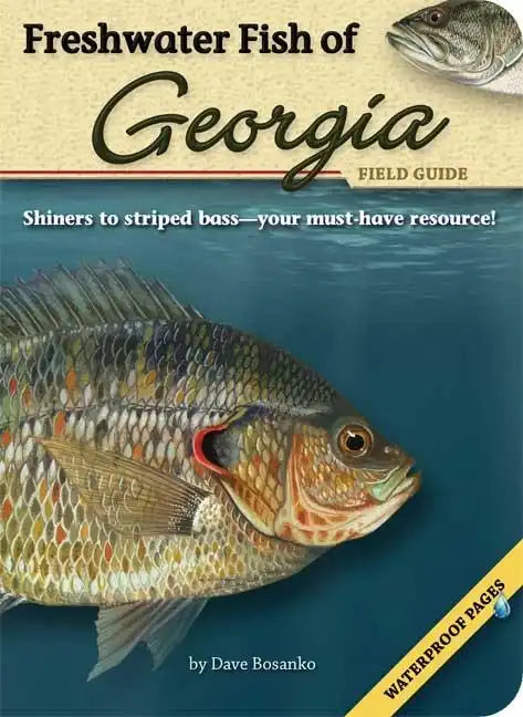 Freshwater Fish of Georgia Field Guide - Paperback