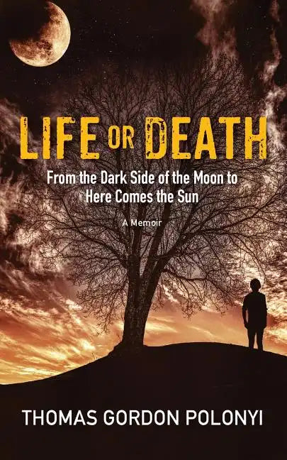 Life or Death: From Dark Side of the Moon to Here Comes the Sun - Paperback