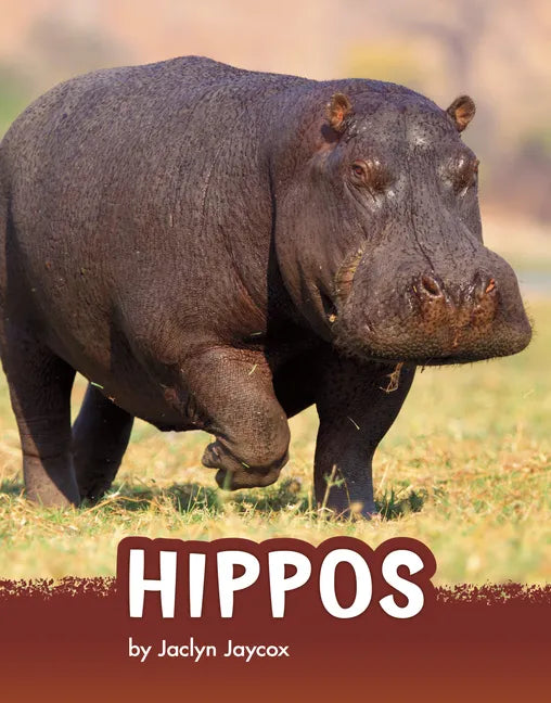 Hippos - Paperback