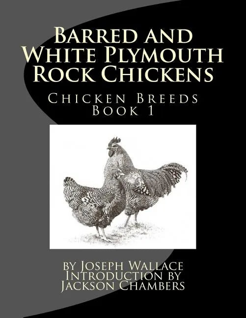 Barred and White Plymouth Rock Chickens - Paperback
