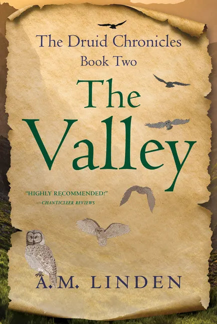 The Valley: The Druid Chronicles, Book Two - Paperback