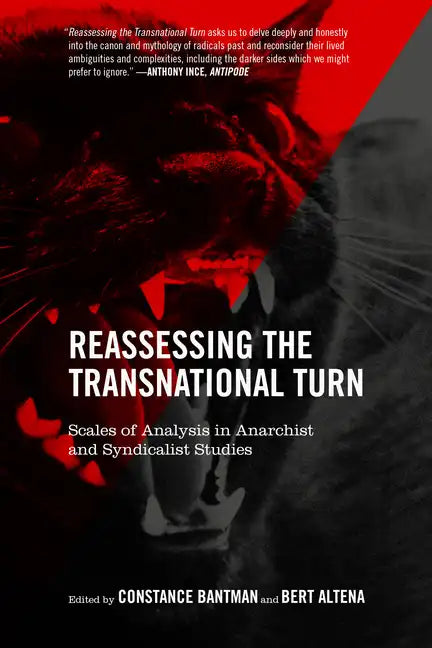 Reassessing the Transnational Turn: Scales of Analysis in Anarchist and Syndicalist Studies - Paperback