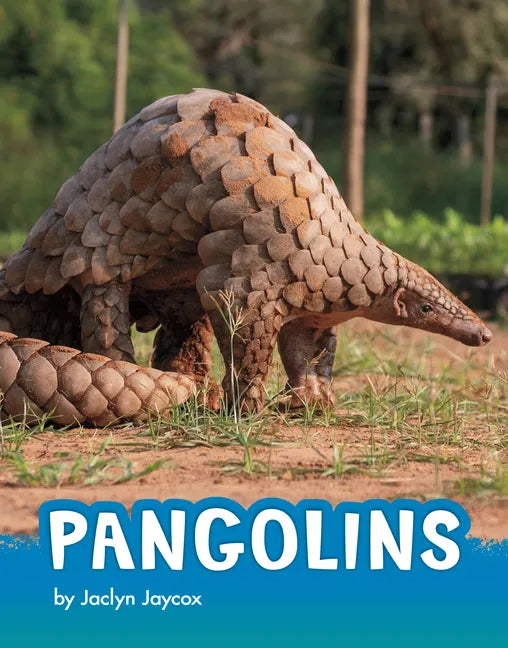 Pangolins - Paperback