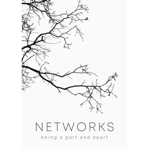 Networks: Being a Part and Apart - Paperback