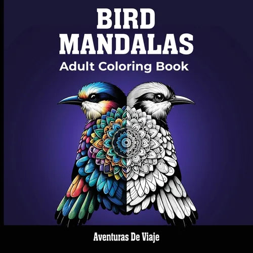 Bird Mandalas & Painted Moments - Paperback