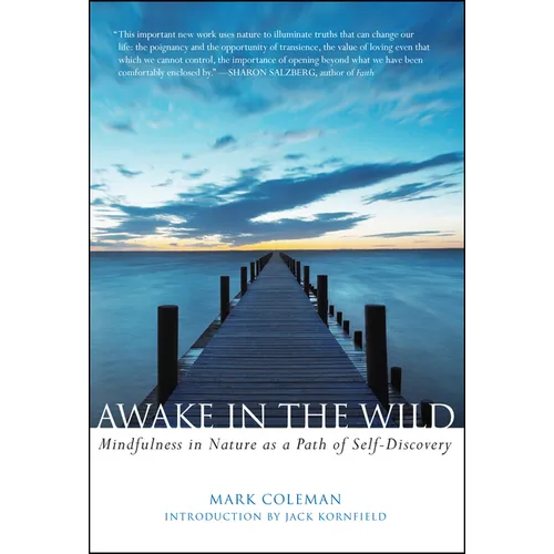 Awake in the Wild: Mindfulness in Nature as a Path of Self-Discovery - Paperback
