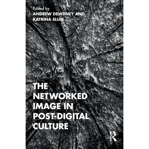 The Networked Image in Post-Digital Culture - Paperback