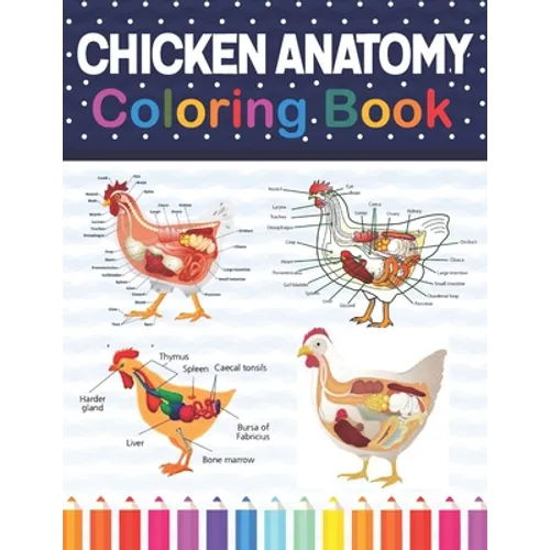 Chicken Anatomy Coloring Book: Chicken Anatomy and Veterinary Physiology Coloring Book. The New Surprising Magnificent Learning Structure For Veterin - Paperback
