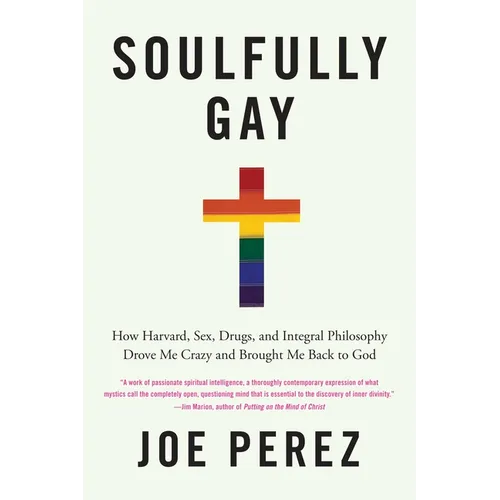 Soulfully Gay: How Harvard, Sex, Drugs, and Integral Philosophy Drove Me Crazy and Brought Me Back to God - Paperback