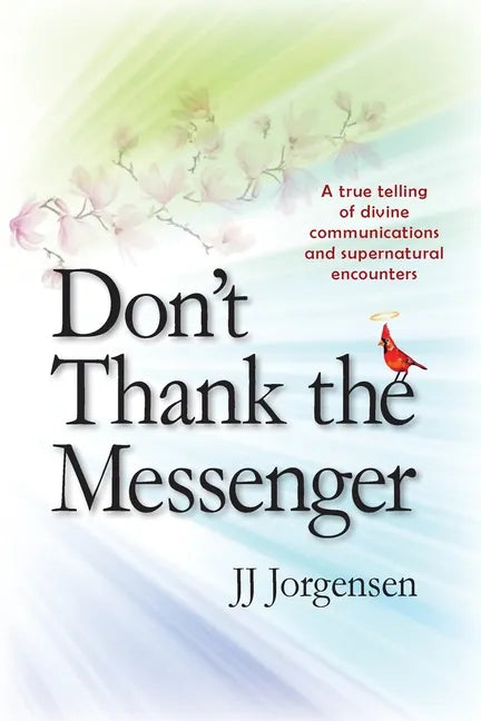Don't Thank the Messenger: A true telling of divine communications and supernatural encounters - Paperback