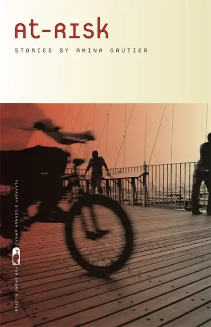 At-Risk: Stories - Paperback
