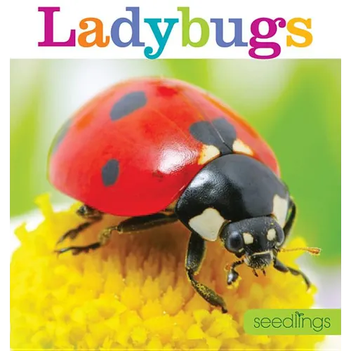 Seedlings: Ladybugs - Paperback